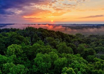 Extreme E reafirma su compromiso con el Amazonas
