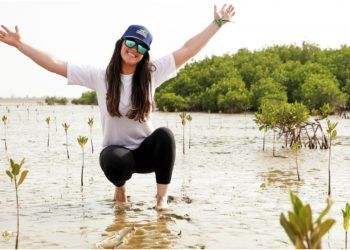 Mangrove Protection: One of Extreme E’s Sustainable Goals