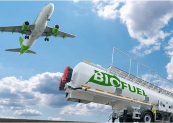 Relevance of Biofuels for the Sustainable Transition of Motorsports