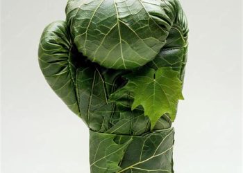 Boxing Steps into the Ring for Sustainability