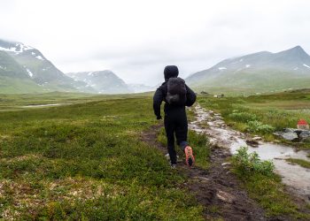 Patagonia’s Enduring Commitment to Sustainable Sportswear